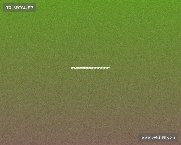 走进b级赛事的世界体验热血沸腾的较量与梦想成真的瞬间